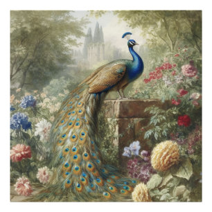 Botanical: peacock near castle in English garden  Photo Print