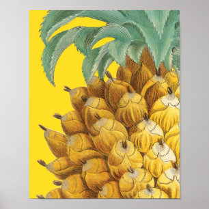 Botanical Pineapple in Yellow Poster