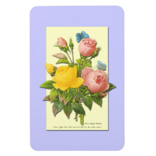 Botanical Pink Yellow Roses Magnet