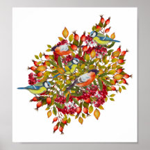 Botanical Plants and Birds Illustration Poster