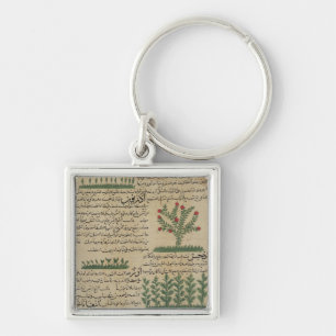 Botanical plants, illustration from 'The Key Ring