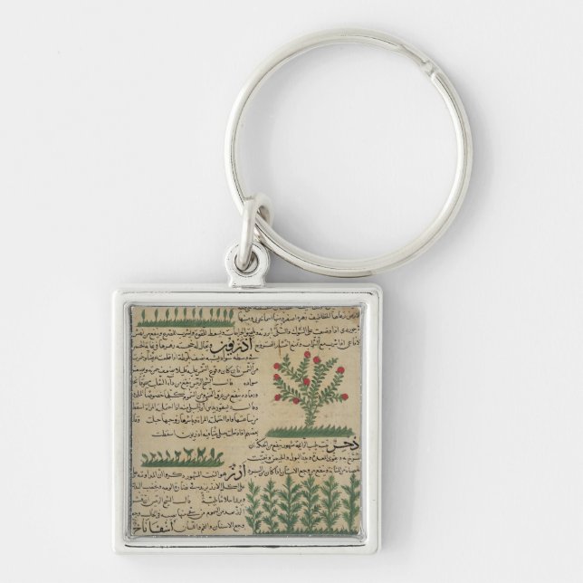 Botanical plants, illustration from 'The Key Ring (Front)