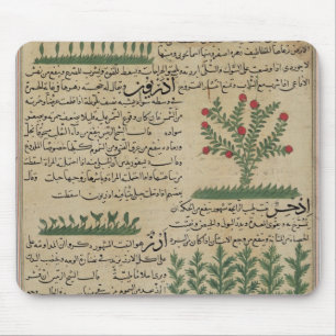 Botanical plants, illustration from 'The Mouse Pad