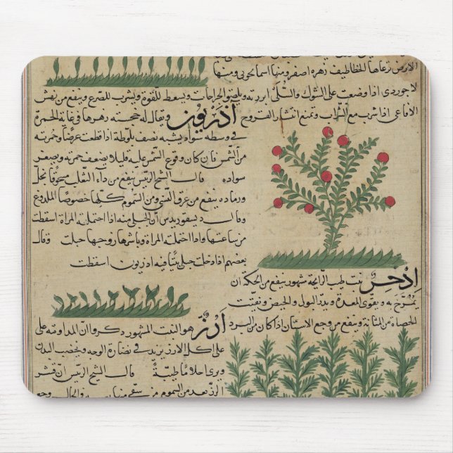 Botanical plants, illustration from 'The Mouse Pad (Front)