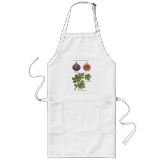 Botanical Plate Fig Ficus Carica Long Apron