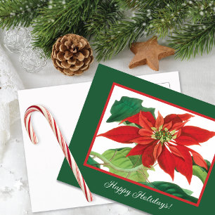 Botanical Poinsettia Flower Holiday Postcard