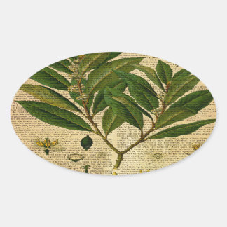 Botanical print on old book page oval sticker