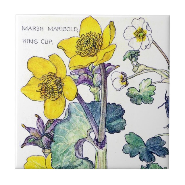 Botanical Ranunculus Wildflower Flowers Tile (Front)