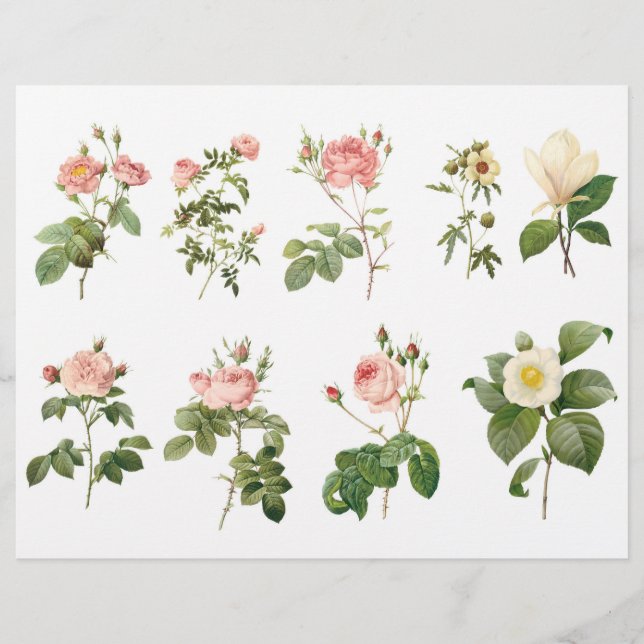 Botanical Roses Fussy Cuts with Script on the back (Front)