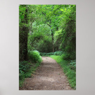 Botanical Series 123 Poster