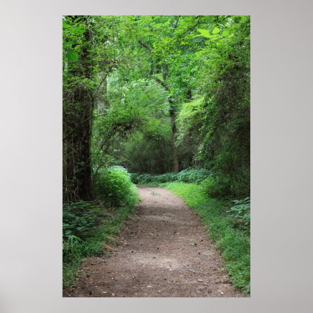 Botanical Series 123 Poster (Front)