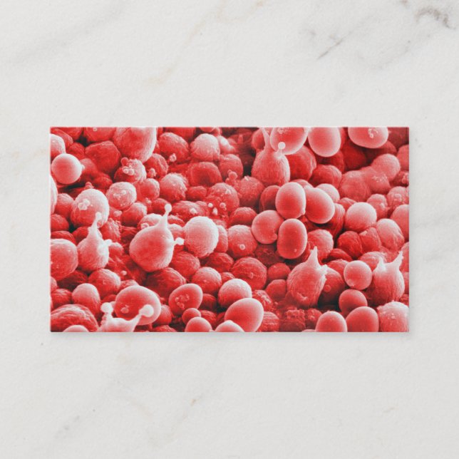 Botanical Spores - Pink Business Card Background (Front)
