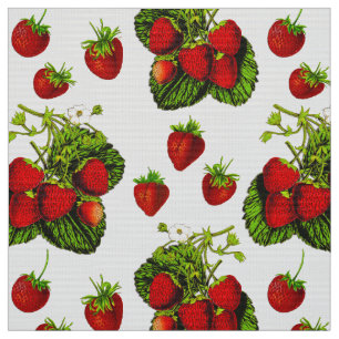 Botanical Strawberry Illustration Print on White  Fabric