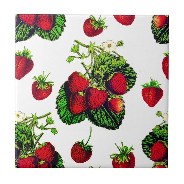 Botanical Strawberry Illustration Print on White  Tile (Front)