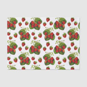 Botanical Strawberry Illustration Print on White Tissue Paper