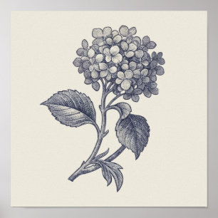 Botanical Toile   Hydrangea Vignette Poster