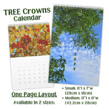 Botanical Tree Crown Photography
