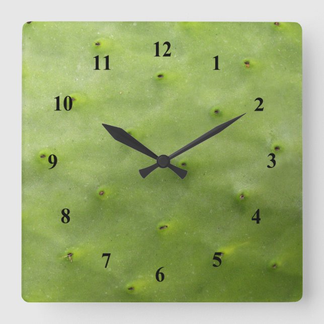 Botanical Tropical Green Cactus Photo Square Wall Clock (Front)