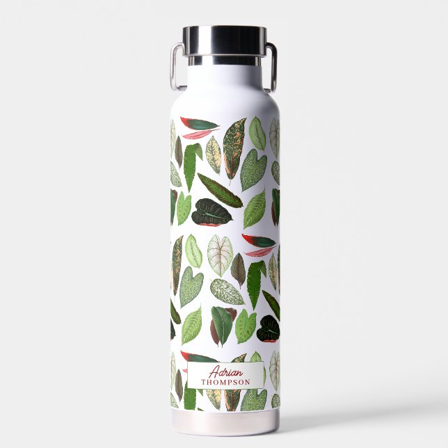 Botanical Vintage Greenery Leaves  Water Bottle (Front)