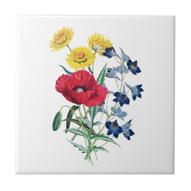 Botanical Vintage Wildflowers - Poppy, Daisy, Bell Tile (Front)