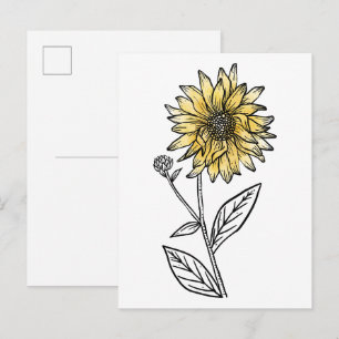 Botanical watercolor aesthetic line art sunflower  postcard