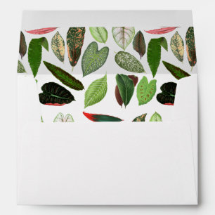 Botanical Watercolor Vintage Greenery Leaves Envelope