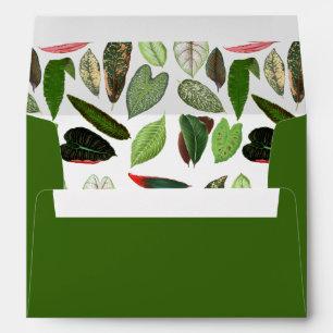 Botanical Watercolor Vintage Greenery Leaves Green Envelope