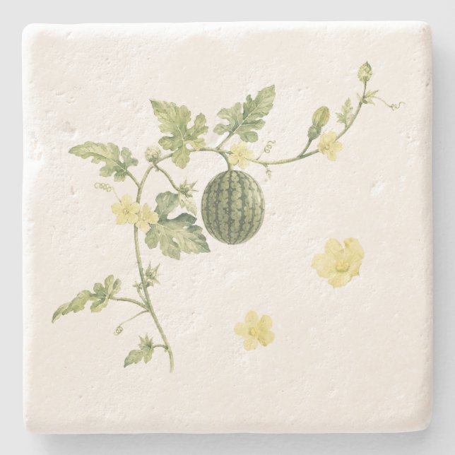 Botanical Watermelon Vine Stone Coaster (Front)