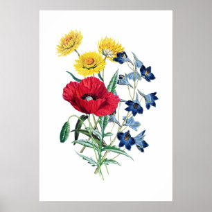 Botanical Wild Flowers Bouquet Poster