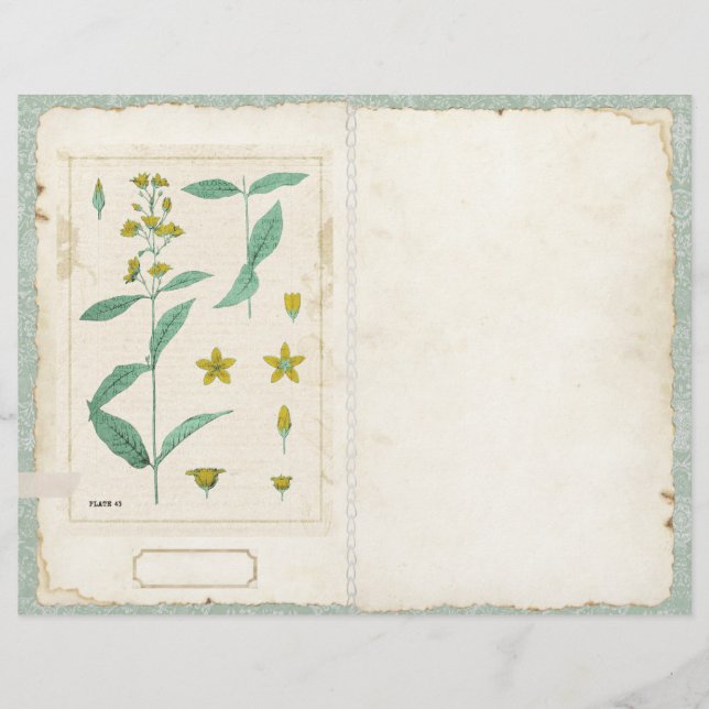 Botanical Wildflower Junk Journal Page Front/Back (Front)