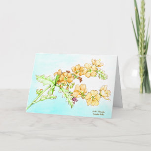 Botanical wildflower watercolor, globemallow card