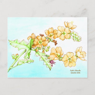 Botanical wildflower watercolor, globemallow postcard