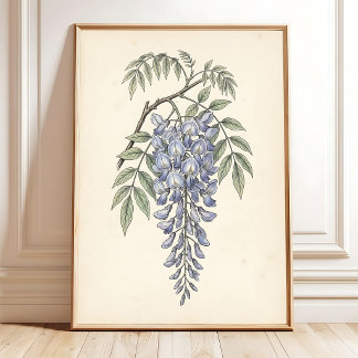 Botanical Wisteria Cottage Wall Art