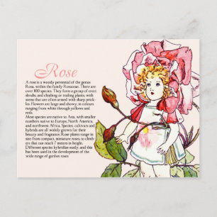 Botany Collector Vintage Rose Girl Plant Info Postcard