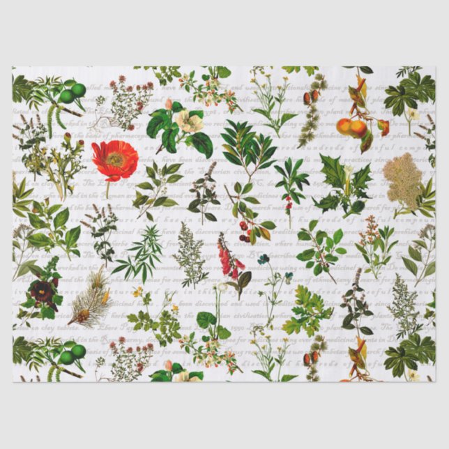 Botany Pharmaceutical Herbs Flowers Herbarium Tissue Paper (Front)