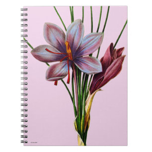 Botany: Saffron Spiral Notebook