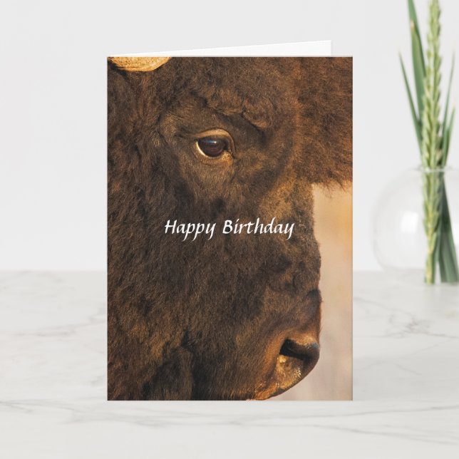 Both Ends Of The Buffalo 2 Humourous Card (Front)