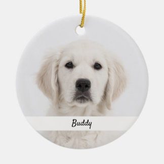 Both Sides Pet Photo Ornaments Keepsake Gifts