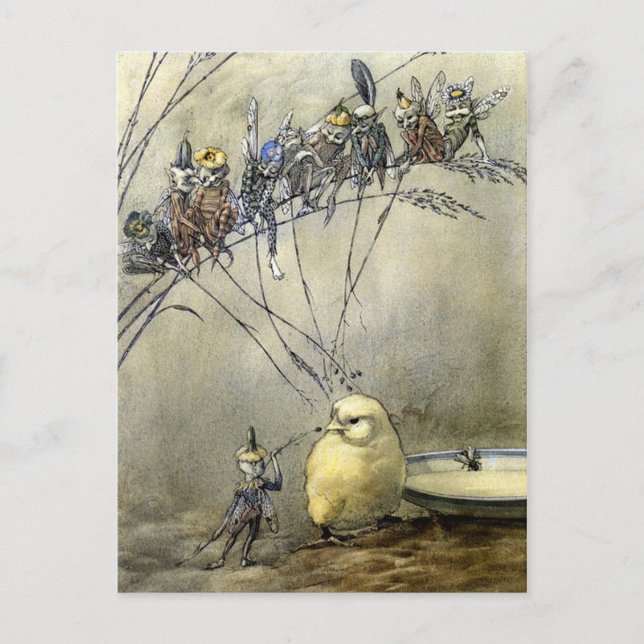 “Bother the Gnat” – Blue-Tone Postcard (Front)