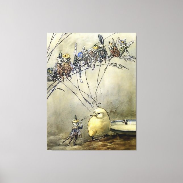 “Bother the Gnat” by A Duncan Carse Canvas Print (Front)