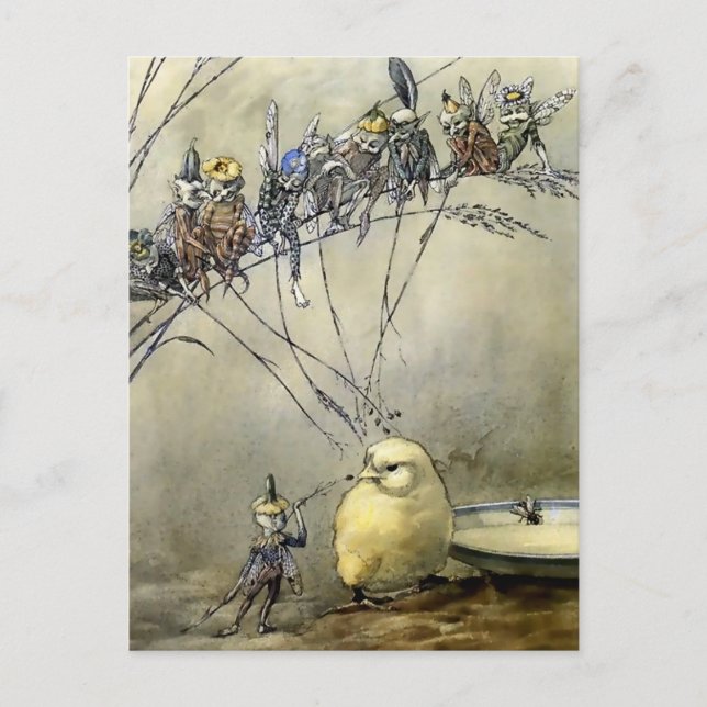 “Bother the Gnat” by A Duncan Carse Postcard (Front)