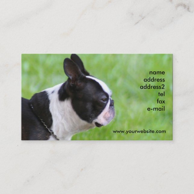 Boton Terrier business cards (Front)