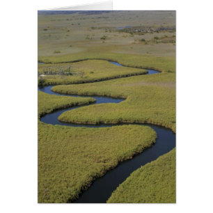 Botswana, Africa. Arial view Okavango river.