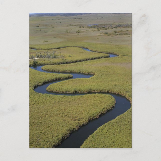Botswana, Africa. Arial view Okavango river. Postcard (Front)