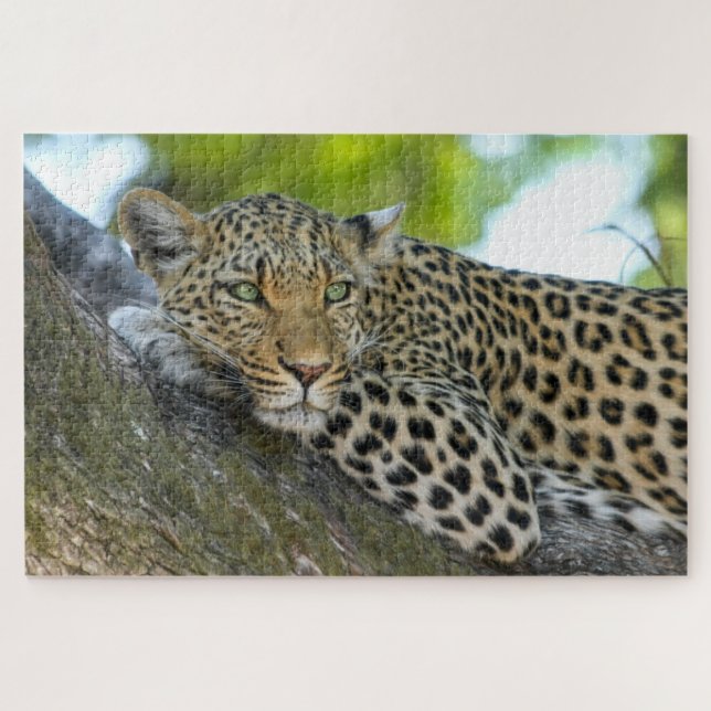 Botswana African Leopard Jigsaw Puzzle (Horizontal)