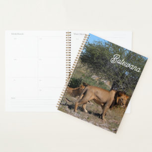 Botswana Central Kalahari Lions Savannah Planner