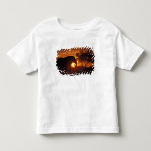 Botswana, Chobe National Park, Bull Elephant Toddler T-Shirt