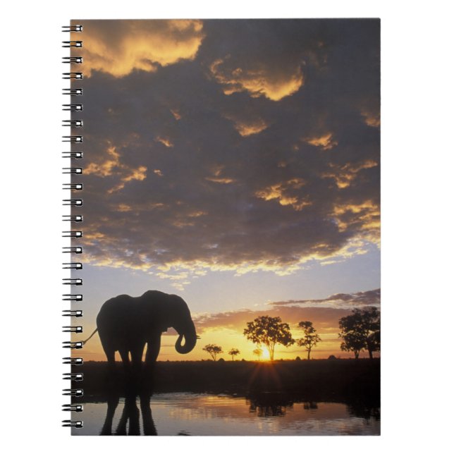 Botswana, Chobe National Park, Elephant Spiral Notebook (Front)