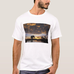 Botswana, Chobe National Park, Elephant T-Shirt