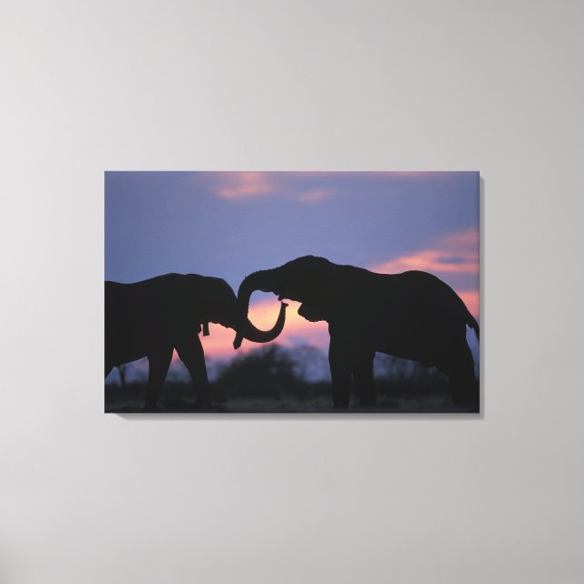 Botswana, Chobe National Park, Elephants Canvas Print (Front)